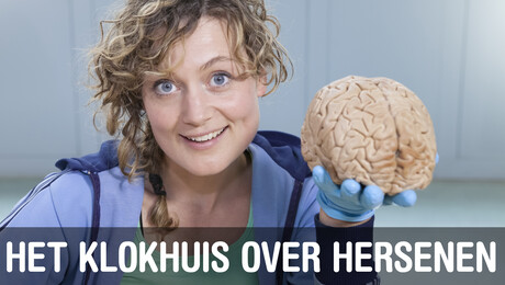 Het Klokhuis | Hersenen